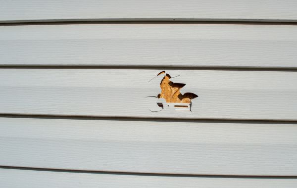 Siding Hole Patching in Burnsville